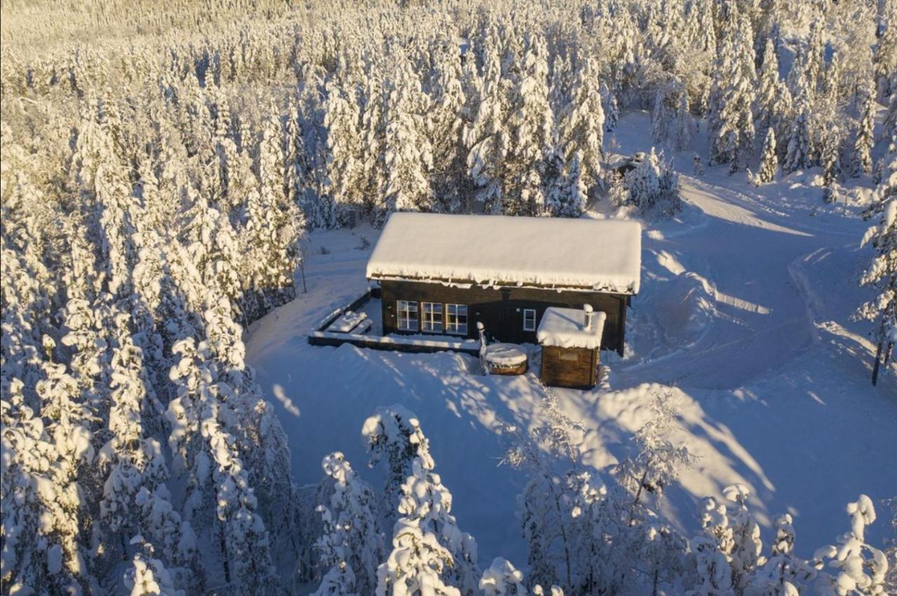 Cabin With Sauna In トリシル エクステリア 写真